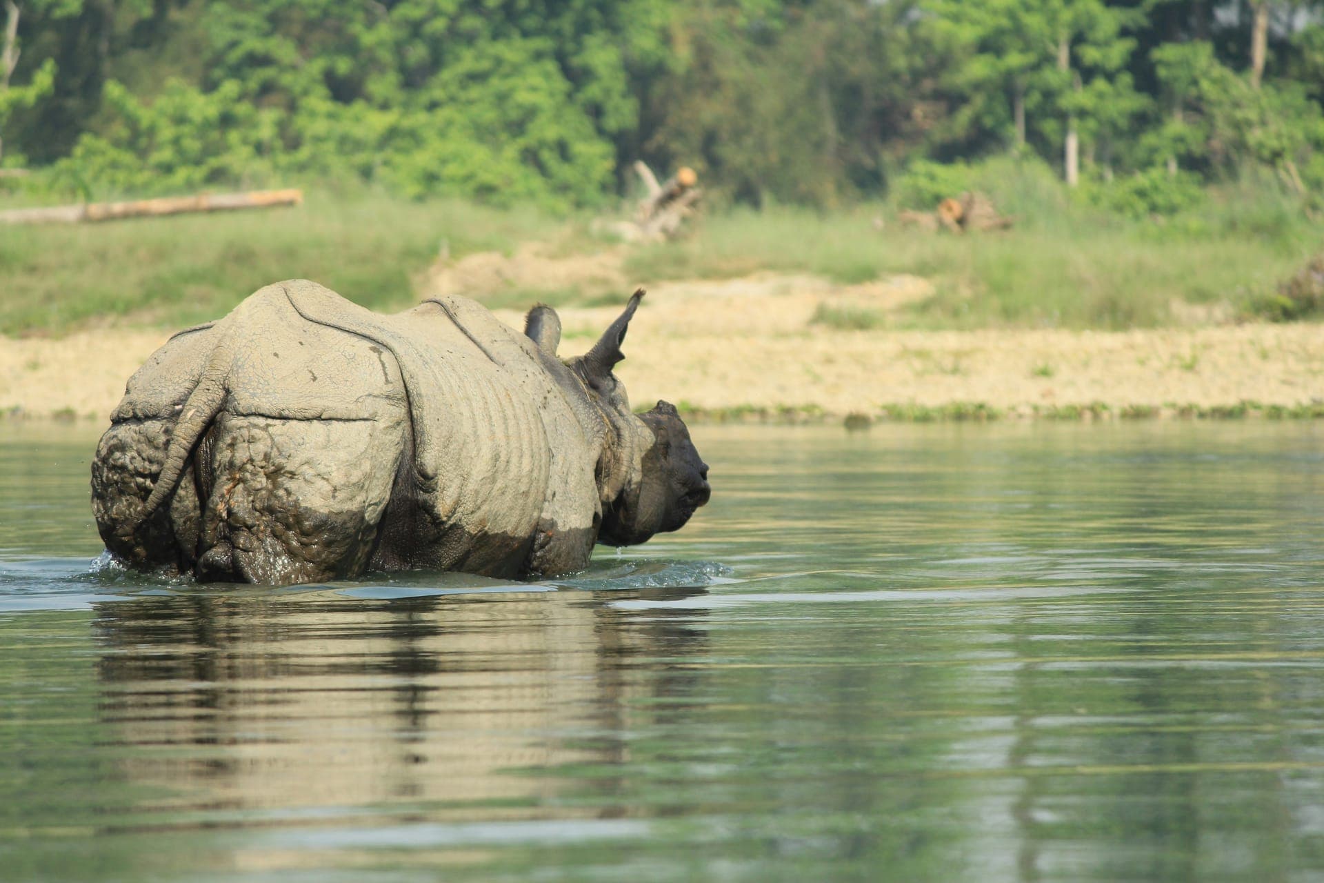 Kathmandu, Pokhara & Chitwan Heritage Tour 3