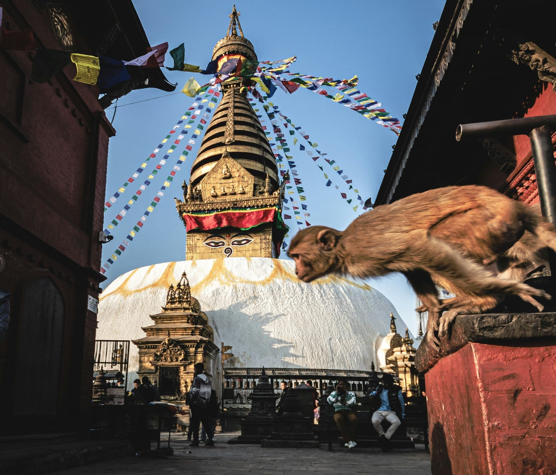 Kathmandu Valley Tour 3