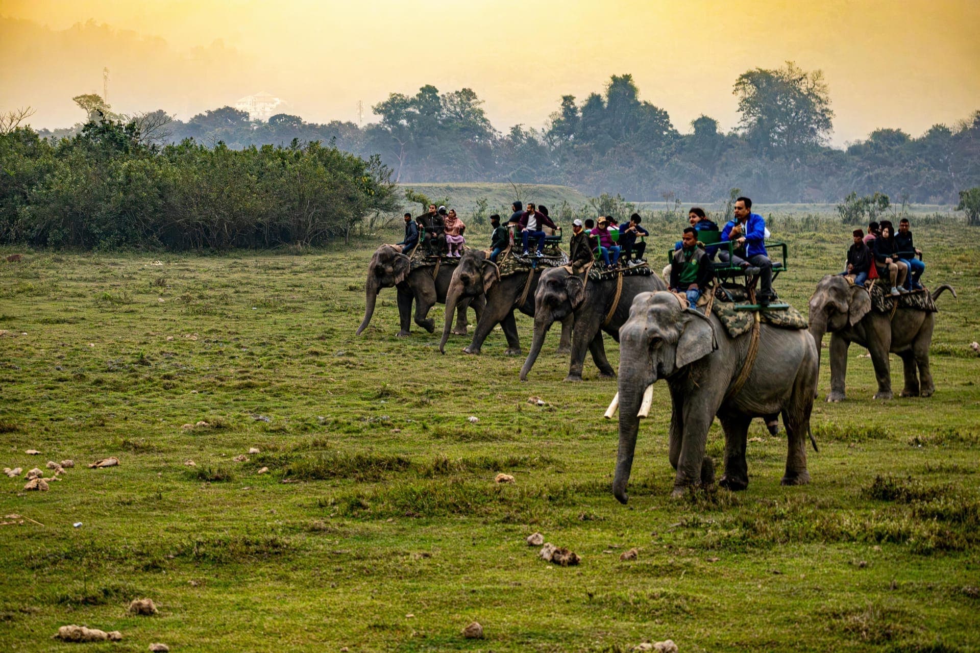 Chitwan